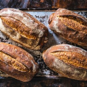 Four sourdough bread loaves in a baking tray handmade just baked