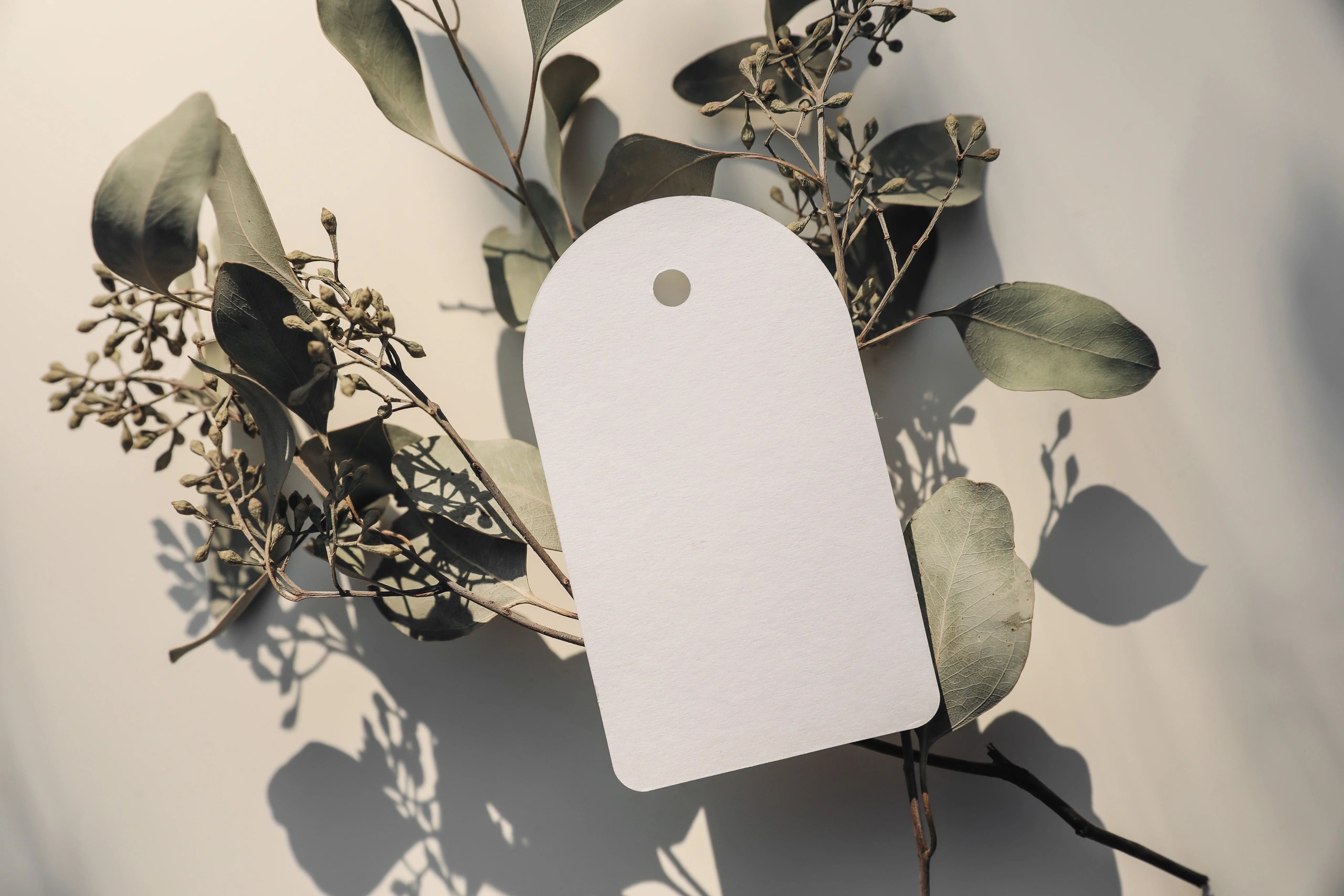 Blank round gift tag mockup with eucalyptus on a beige background